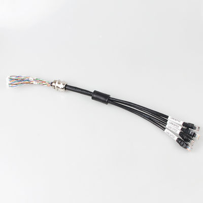4 imperméables dans 1 câble Ethernet du chat 6a, 4 câble de tronc du mâle RJ45 Cat6a de branche